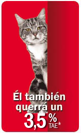100330_gato_mgm_3_5_mgm_gato