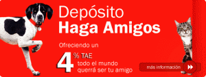 haga-amigos haga-amigos